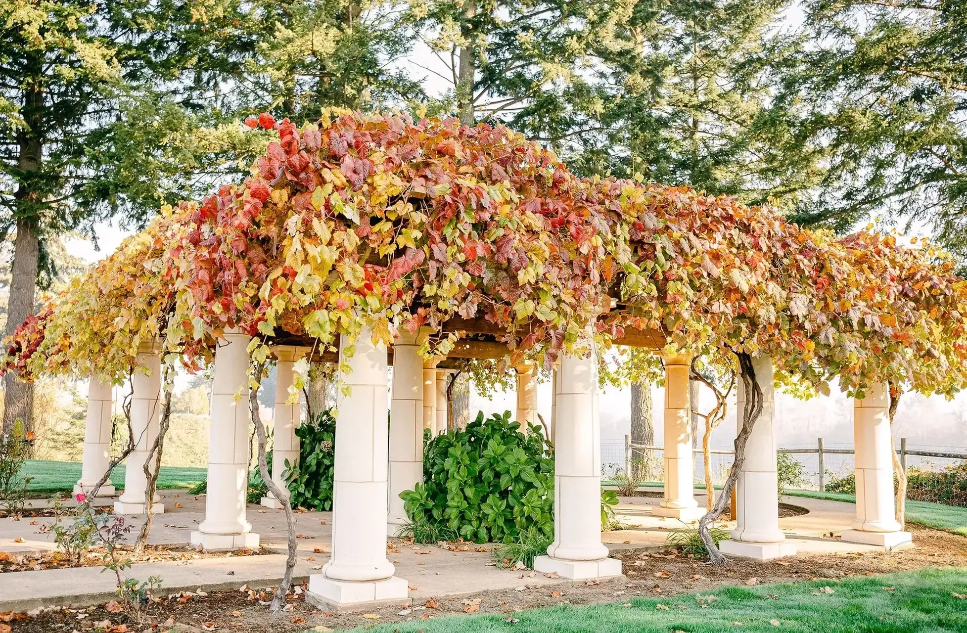 Outdoor grounds at Del Mar Villa